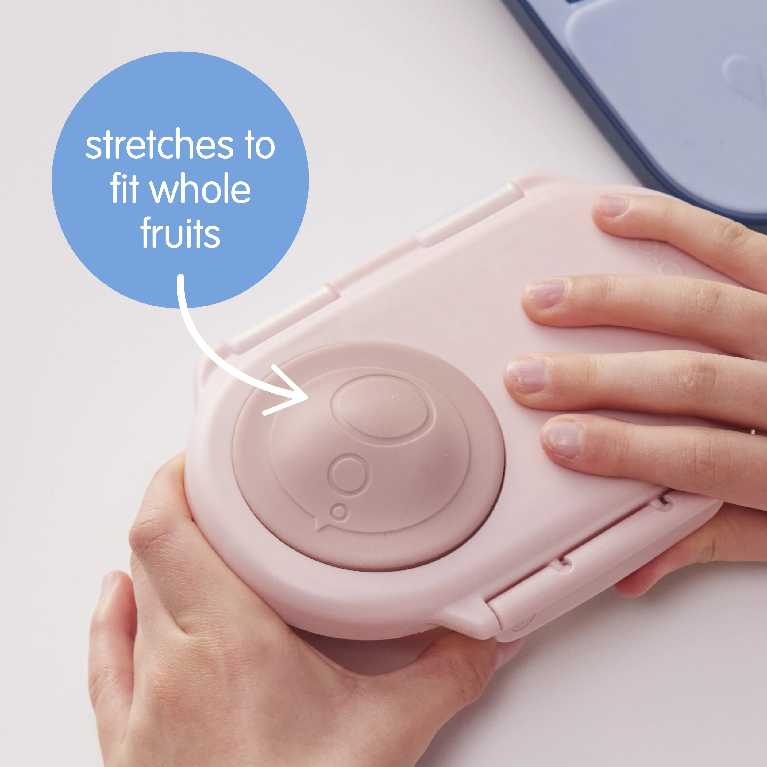 snackbox - sugar plum - Image 8